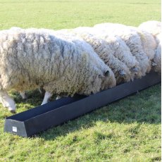 Paxton 54 Litre Feed Trough