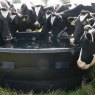Paxton 2000 Litre Circular Drinking Trough with Ballcock
