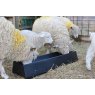 Paxton 16 Litre Feed Trough