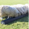 Paxton 54 Litre Feed Trough