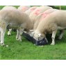 JFC JFC 3ft Sheep Feed Trough