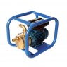 Chemical Transfer Pump (30-50mm)