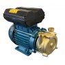 Portable Diesel Transfer Pump