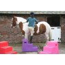 3 Step Premium Mounting Block Purple - in yard