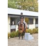 3 Step Premium Mounting in Yard